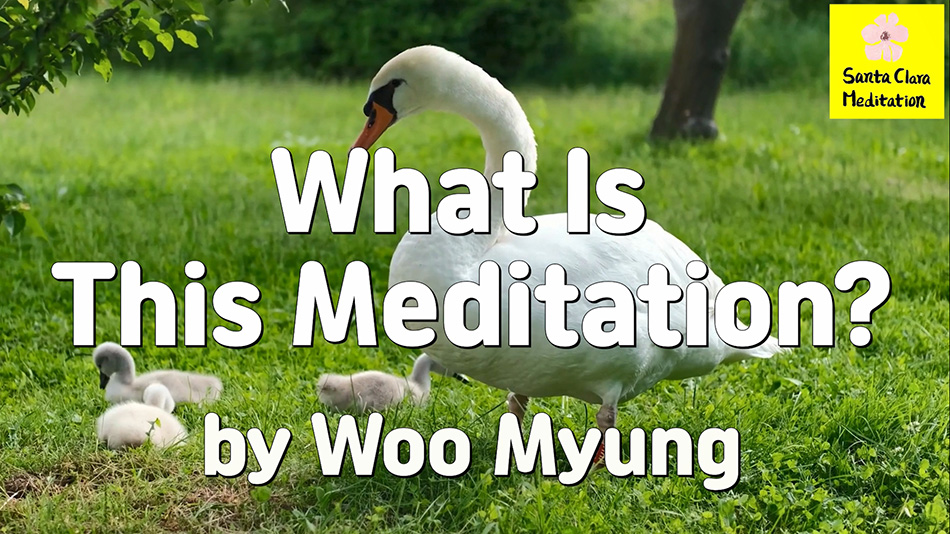 Master Woo Myung – Meditation Benefit – What Is This Meditation?