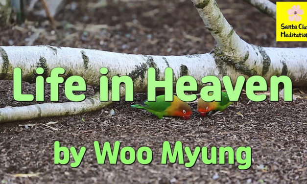 Master Woo Myung – Quote to Awaken – Life in Heaven