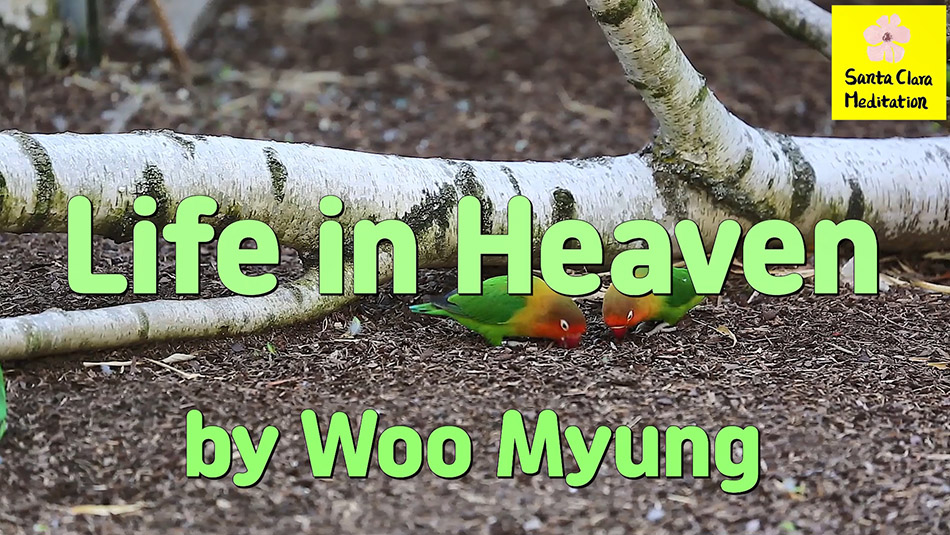 Master Woo Myung – Quote to Awaken – Life in Heaven