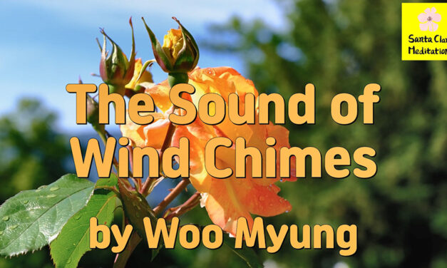 Master Woo Myung – Truth Poem – The Sound of Wind Chimes