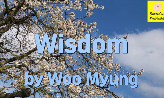 Master Woo Myung – How to Be Wise – Wisdom