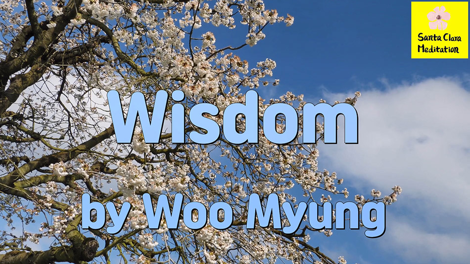 Master Woo Myung – How to Be Wise – Wisdom