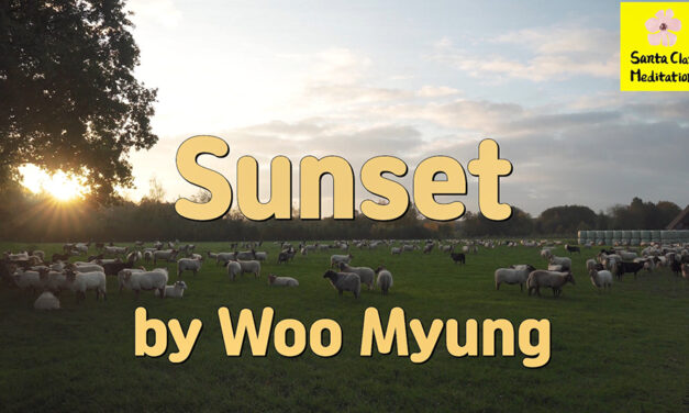 Master Woo Myung – Wisdom Poetry – Sunset