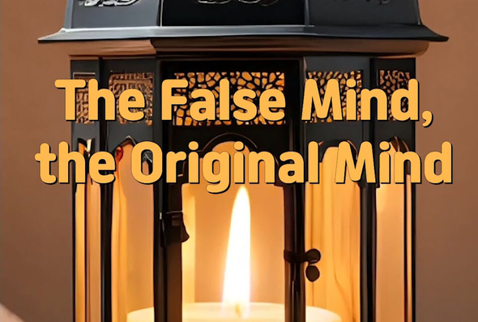 Master Woo Myung – Words of Wisdom – The False Mind, the Original Mind