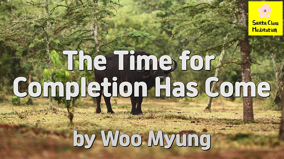 Master Woo Myung – Meditation Pioneer – The Time for Completion Has Come