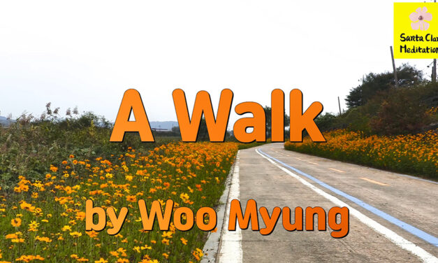 Master Woo Myung – Meaning of Life – A Walk