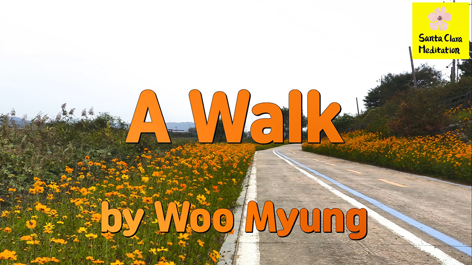 Master Woo Myung – Meaning of Life – A Walk