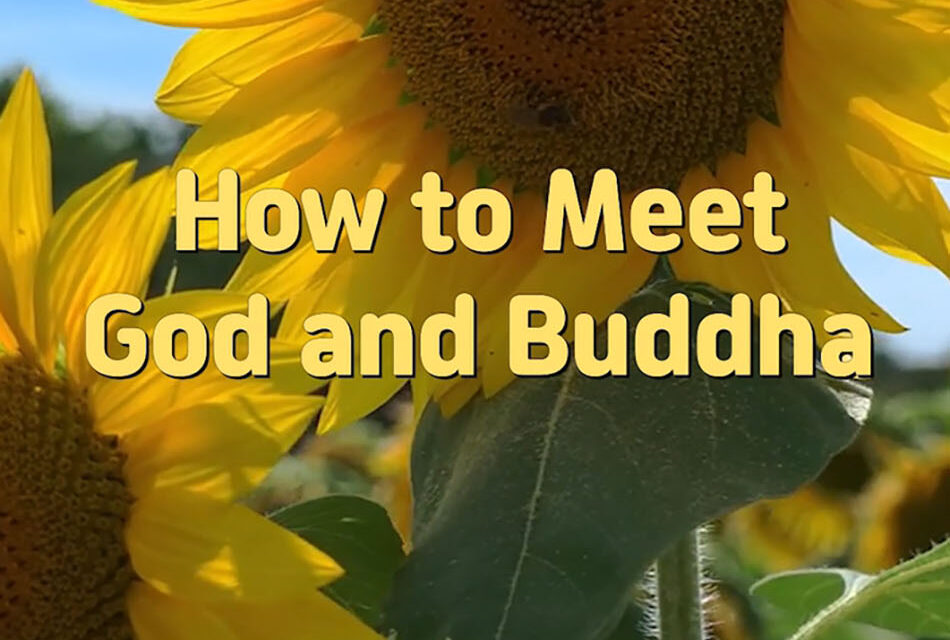 Master Woo Myung – How to Find Buddha – How to Meet God and Buddha