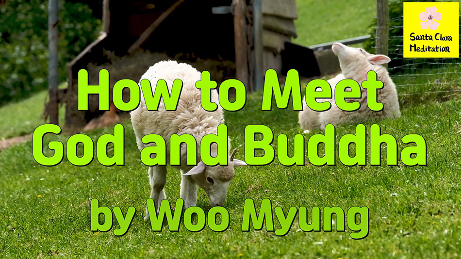 Master Woo Myung – How to Find Truth – How to Meet God and Buddha