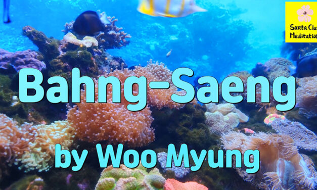 Master Woo Myung – How to Be Free – Bahng-Saeng