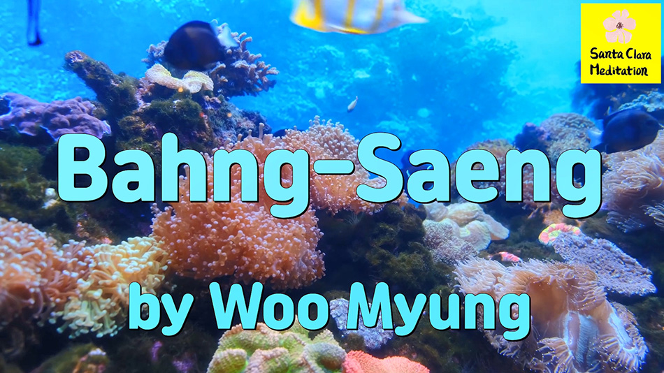 Master Woo Myung – How to Be Free – Bahng-Saeng