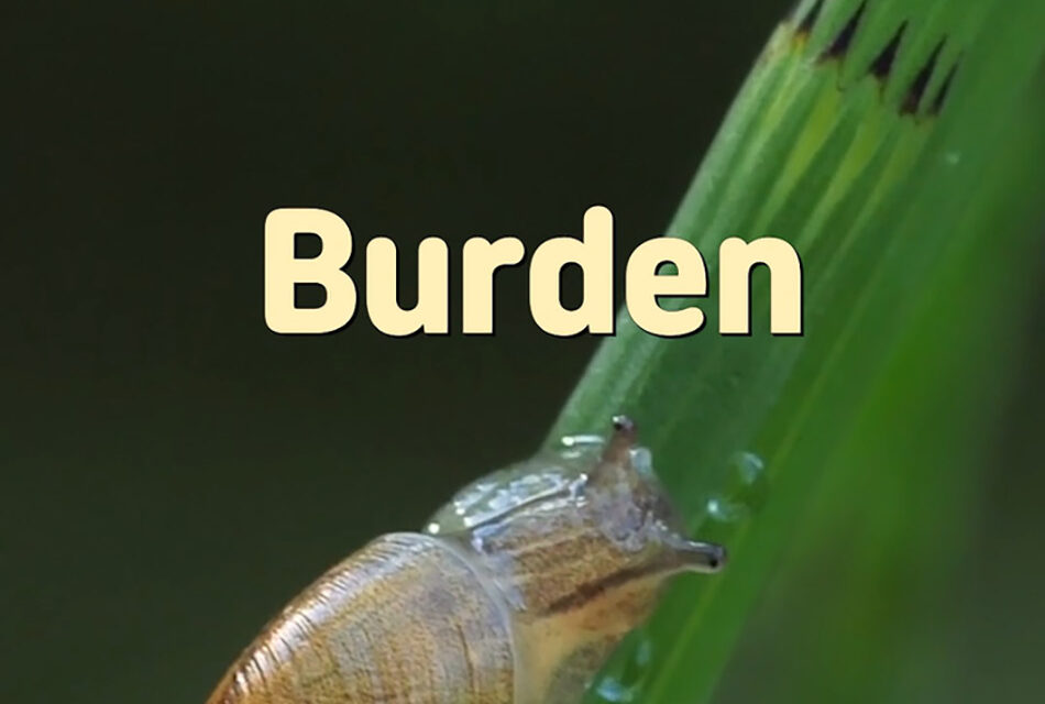 Master Woo Myung – Wisdom Verses – Burden