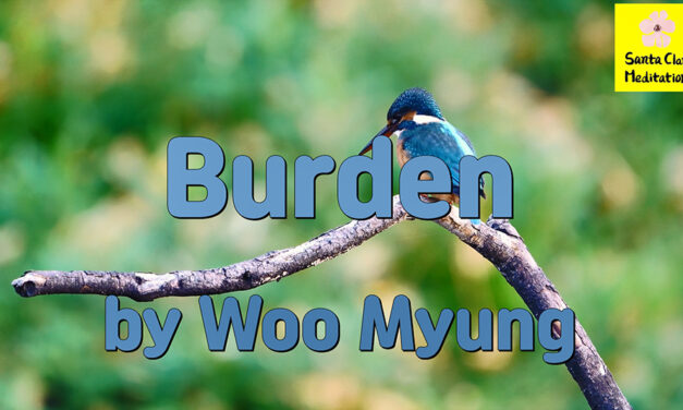 Master Woo Myung – Quote for Enlightenment – Burden