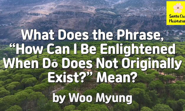 Master Woo Myung – Method for Finding Truth – What Does the Phrase, “How Can I Be Enlightened When Dō Does Not Originally Exist?” Mean?