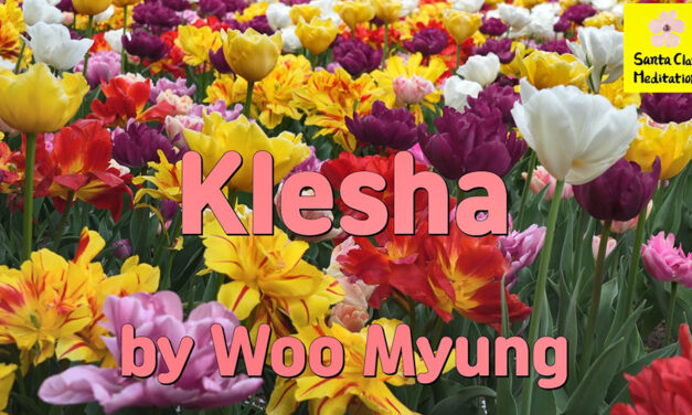 Master Woo Myung – How to Have Relaxation – Klesha