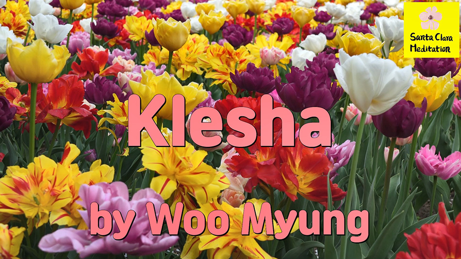 Master Woo Myung – How to Have Relaxation – Klesha