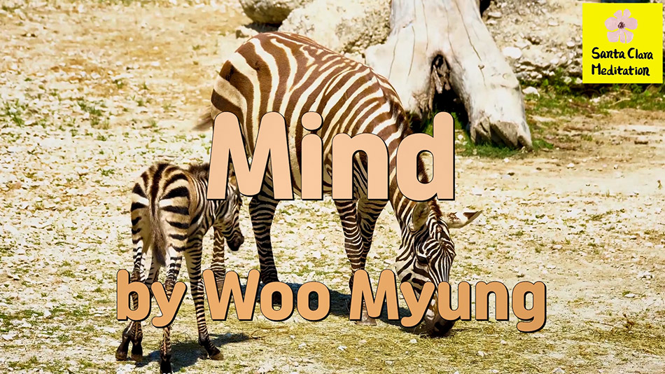 Master Woo Myung – Book – The Enlightened World – Mind