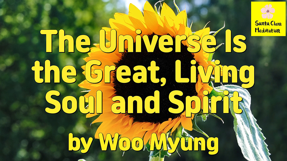 Master Woo Myung – Method to Find Your True Self – The Universe Is the Great, Living Soul and Spirit