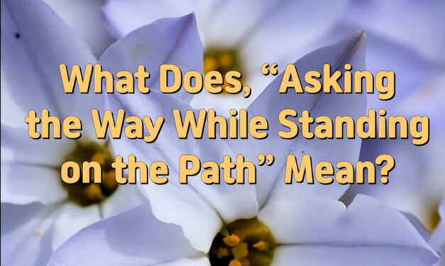 Master Woo Myung – Q&A – What Does, “Asking the Way While Standing on the Path” Mean?