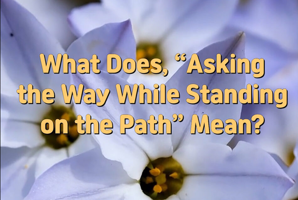 Master Woo Myung – Q&A – What Does, “Asking the Way While Standing on the Path” Mean?