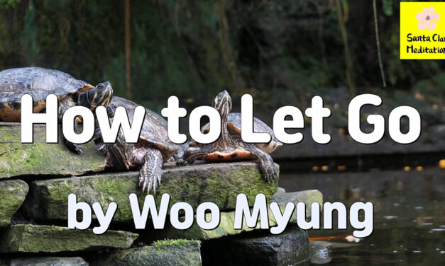 Master Woo Myung – How to Let Go