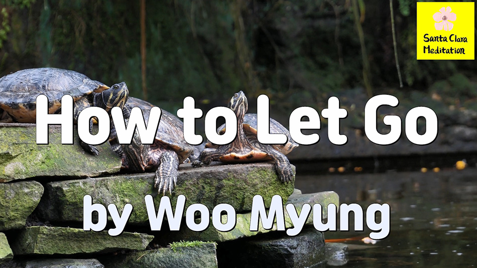 Master Woo Myung – How to Let Go