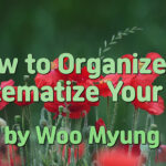 Master Woo Myung – #1 WSJ Bestseller – How to Organize or Systematize Your Life