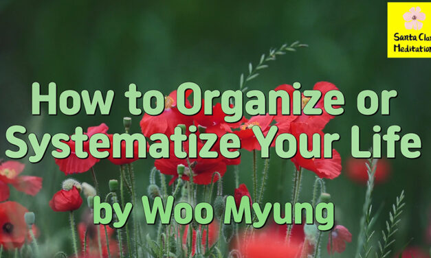 Master Woo Myung – #1 WSJ Bestseller – How to Organize or Systematize Your Life