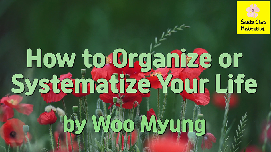 Master Woo Myung – #1 WSJ Bestseller – How to Organize or Systematize Your Life