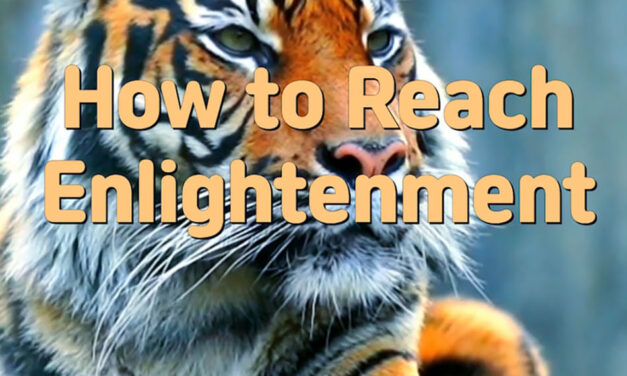 Master Woo Myung- Wisdom’s Answer – How to Reach Enlightenment