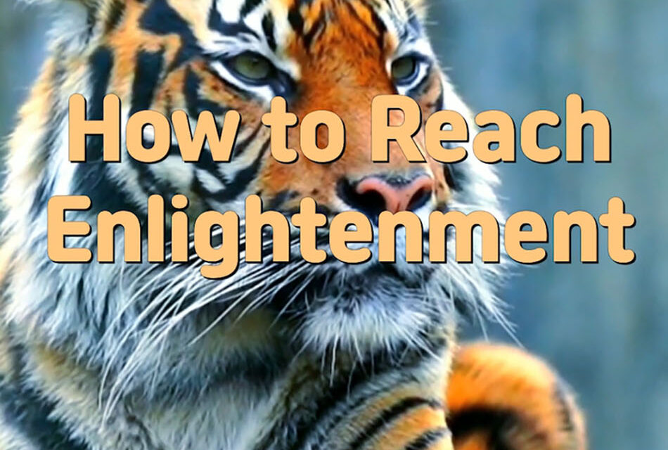 Master Woo Myung- Wisdom’s Answer – How to Reach Enlightenment