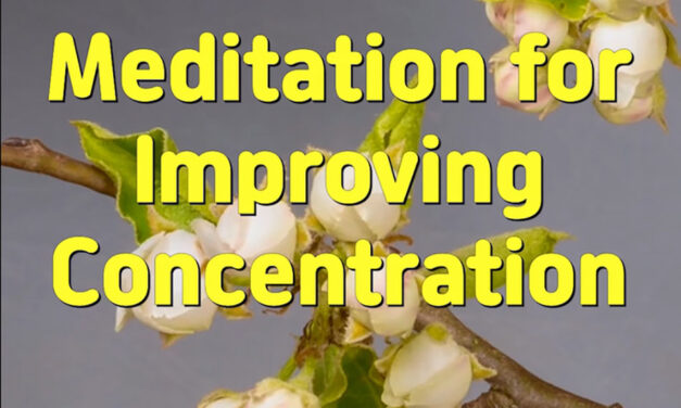 Master Woo Myung – Meditation Benefit – Meditation for Improving Concentration