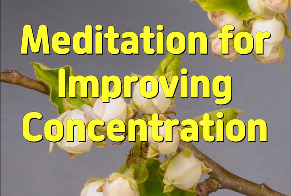 Master Woo Myung – Meditation Benefit – Meditation for Improving Concentration