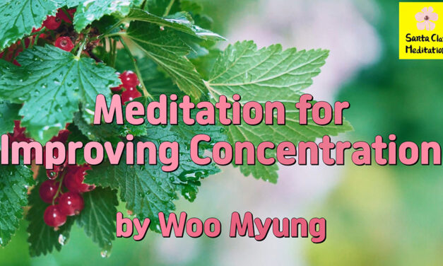 Master Woo Myung – Personal Development Tips – Meditation for Improving Concentration