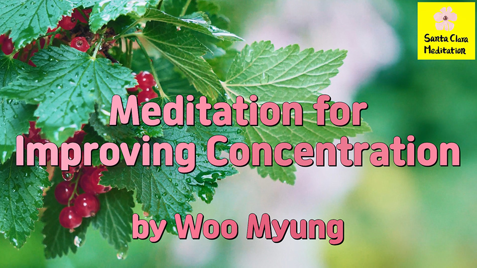 Master Woo Myung – Personal Development Tips – Meditation for Improving Concentration