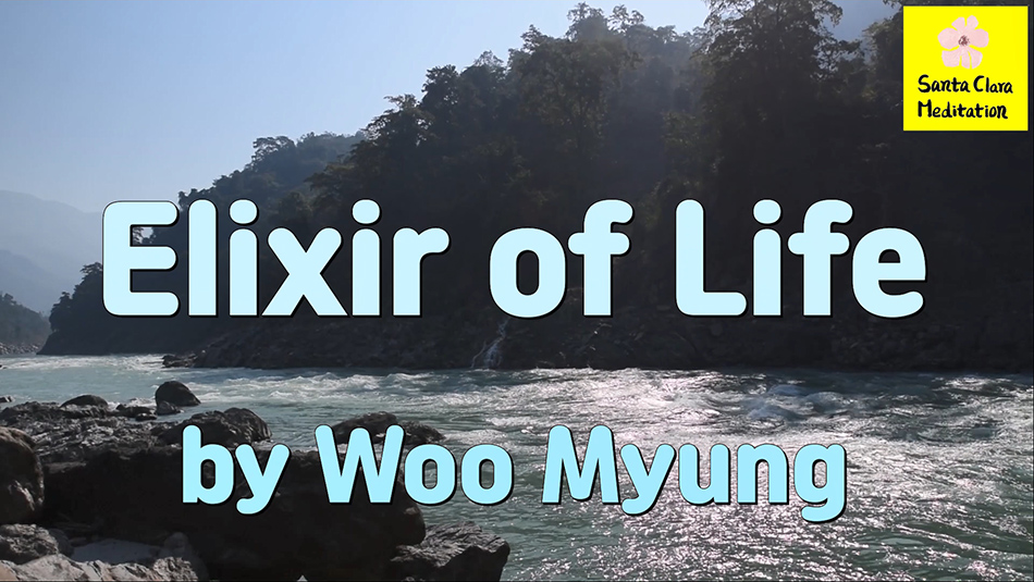 Master Woo Myung – Wisdom Writing – Elixir of Life