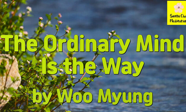 Master Woo Myung – How to Have Peace of Mind – The Ordinary Mind Is the Way