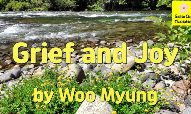 Master Woo Myung – Meditation Poem – Grief and Joy