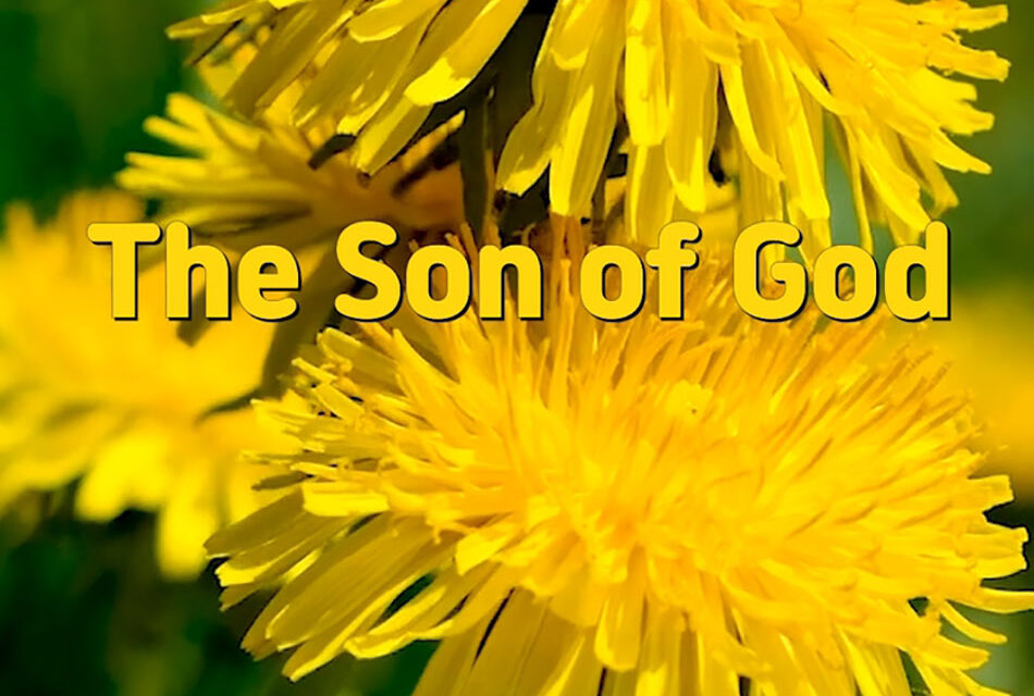 Master Woo Myung – Meaning of Life – The Son of God