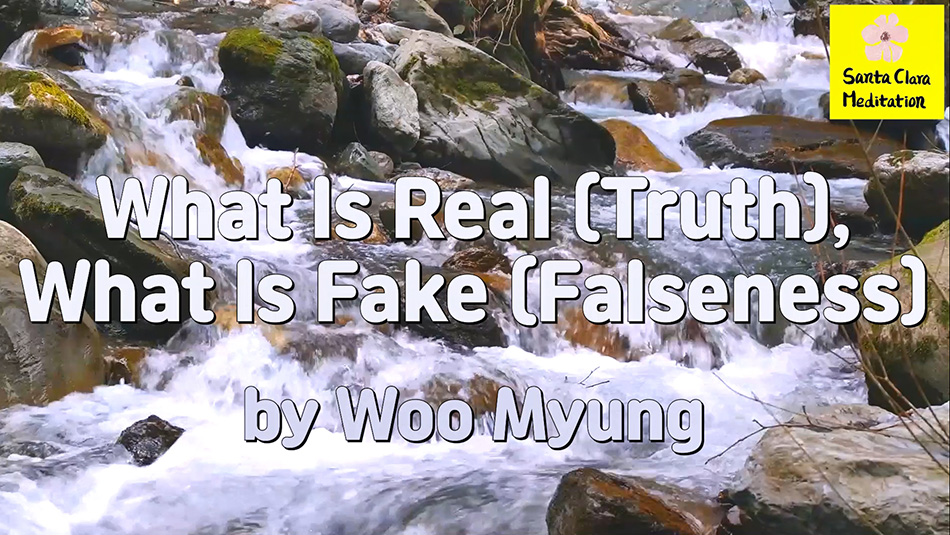 Master Woo Myung – Teachings of Truth – What Is Real (Truth), What Is Fake (Falseness)