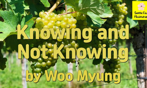 Master Woo Myung – Wisdom Poetry – Knowing and Not Knowing