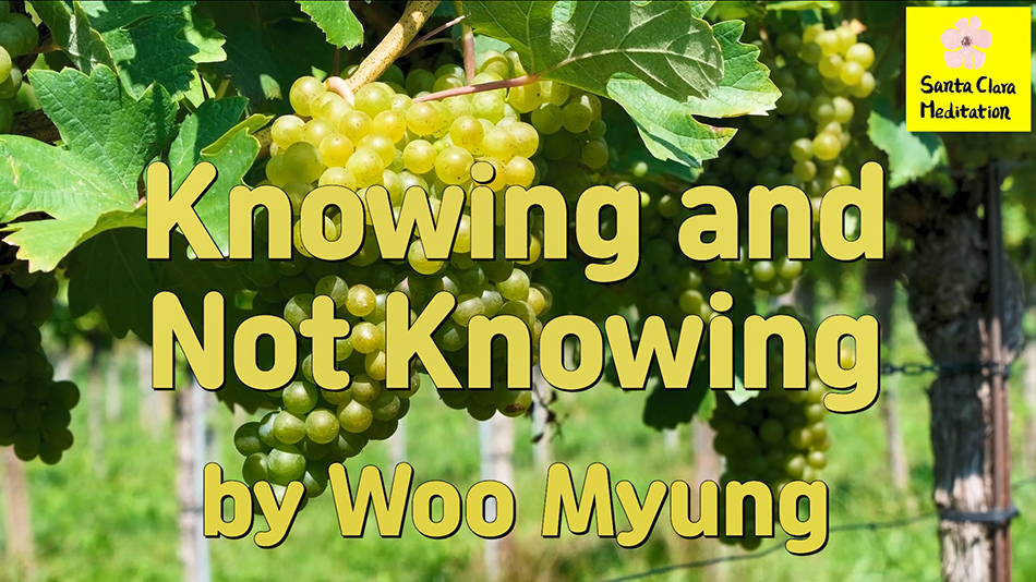 Master Woo Myung – Wisdom Poetry – Knowing and Not Knowing