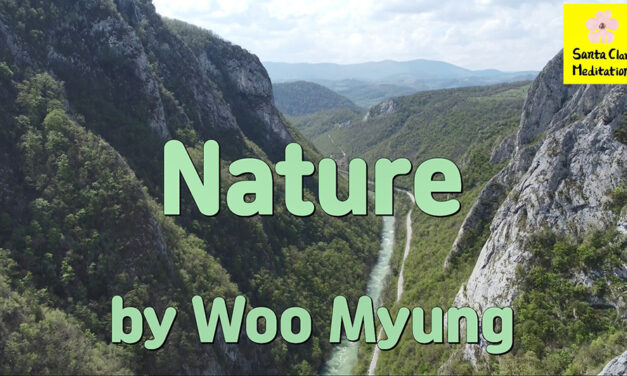 Master Woo Myung – Meditation Quote – Nature