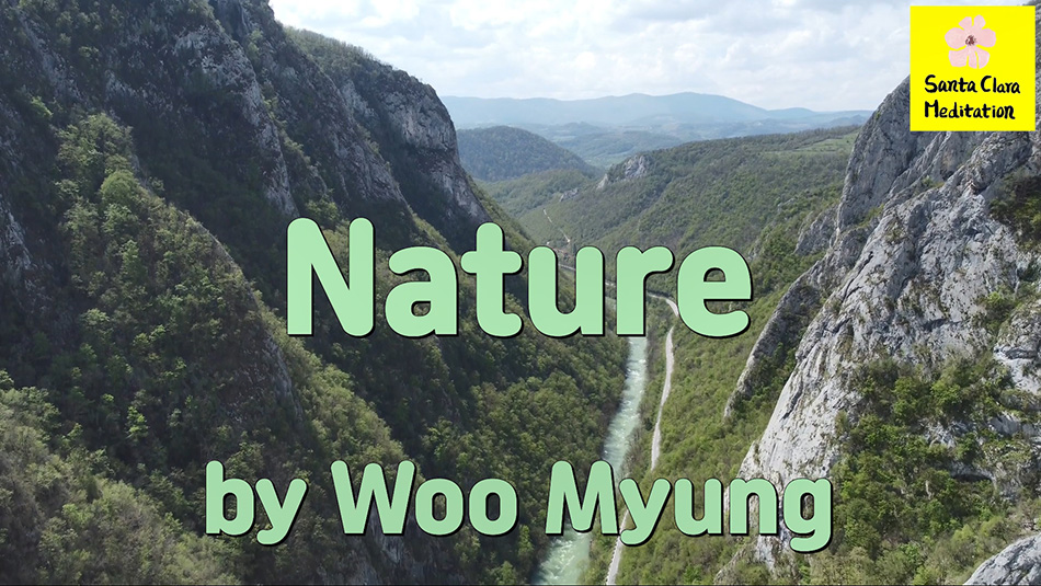 Master Woo Myung – Meditation Quote – Nature