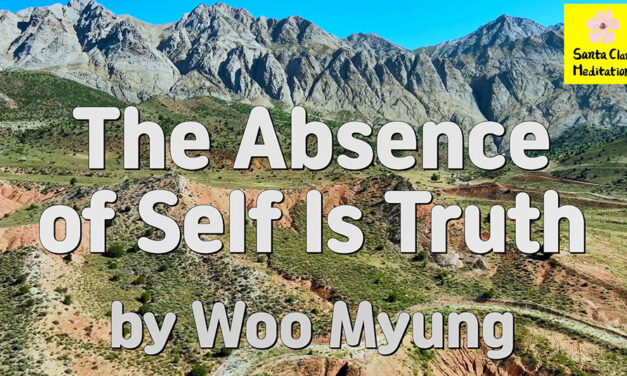 Master Woo Myung – How to Find True Self – The Absence of Self Is Truth