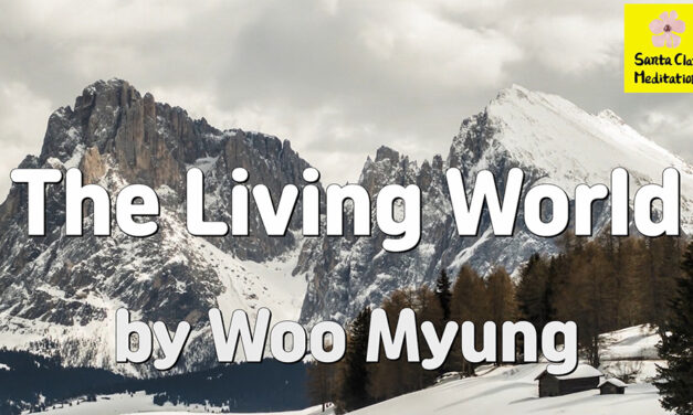 Master Woo Myung – Method to Find Heaven – The Living World