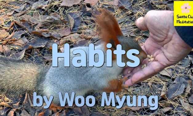 Master Woo Myung – Verses – Habits