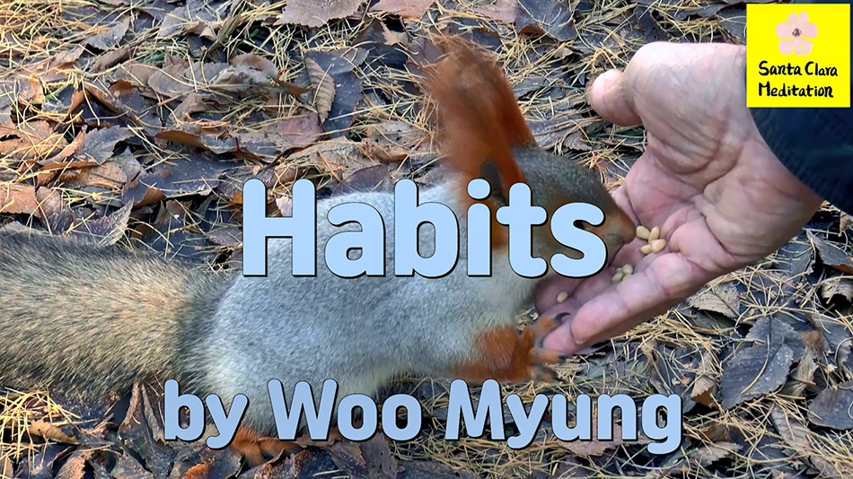 Master Woo Myung – Verses – Habits