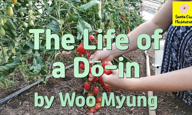 Master Woo Myung – How to Live Well – The Life of a Dō-in