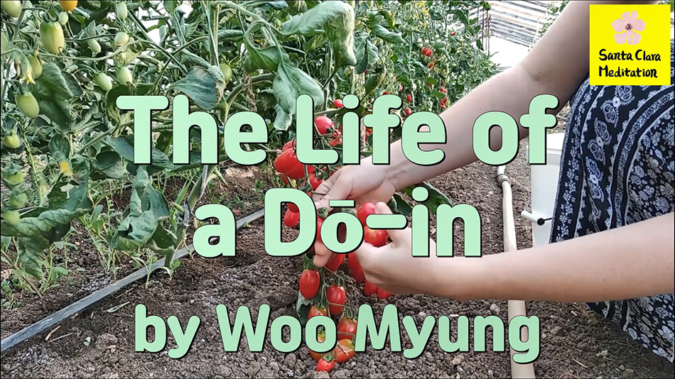 Master Woo Myung – How to Live Well – The Life of a Dō-in